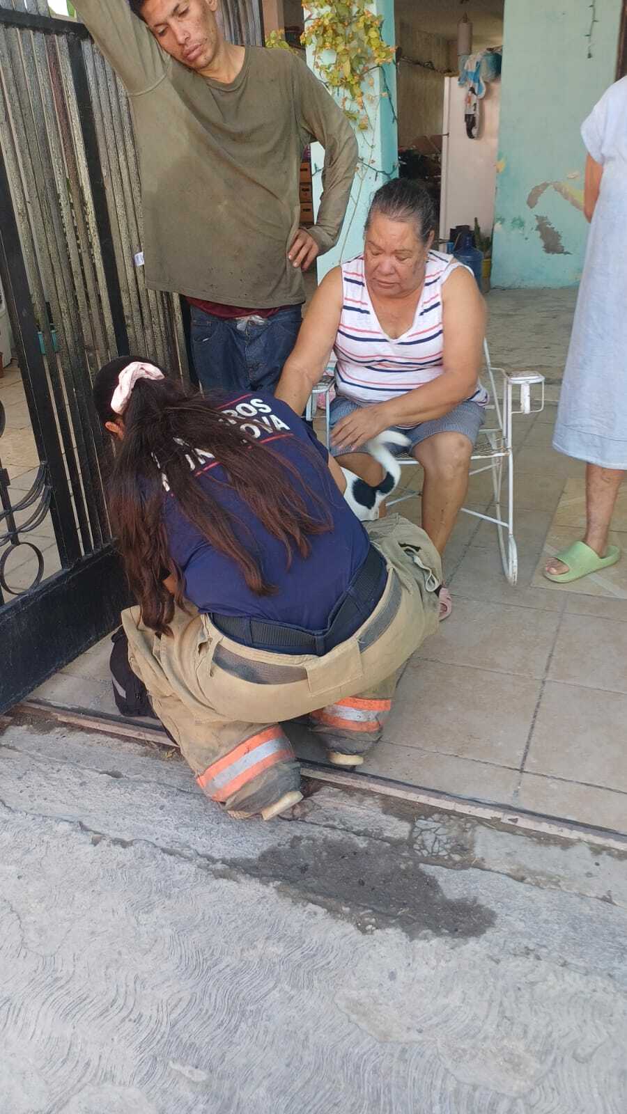 seguridad