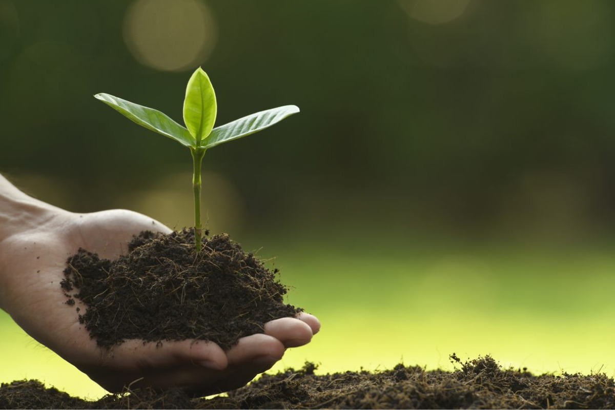 México prepara nueva ley ambiental con 10 principios clave
