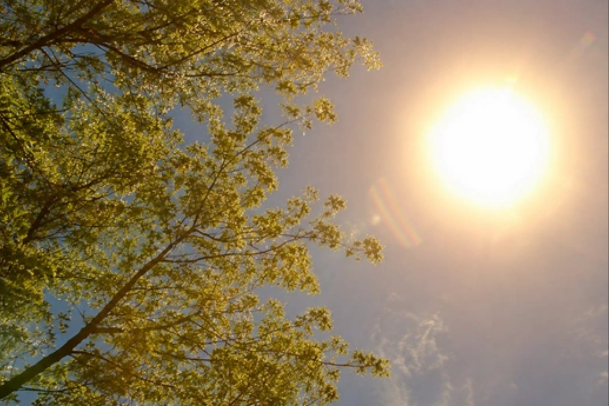 UNAM advierte posibles olas de calor más intensas en México para 2027