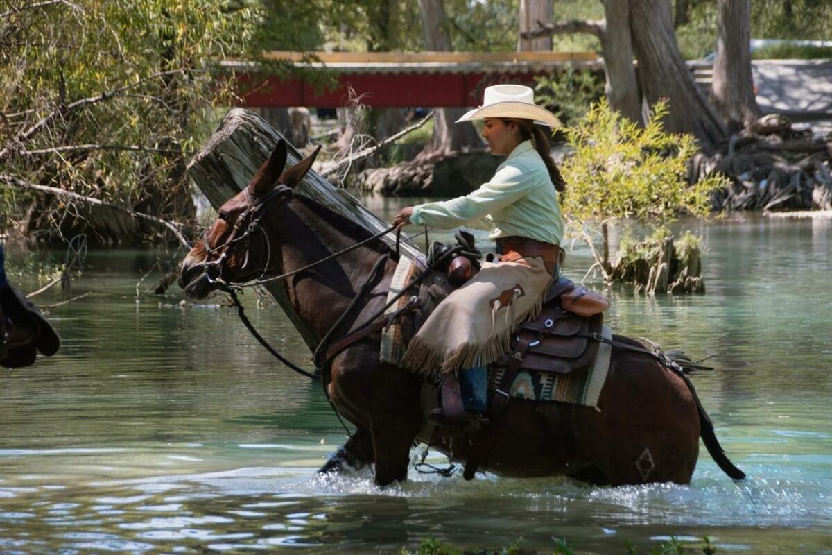 Cabalgata Los Amigos estrenará recorrido tras cambiar nombre y ruta