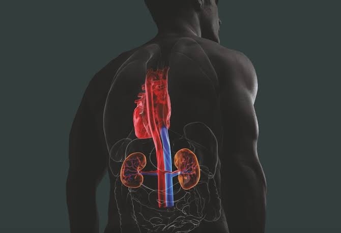 Sector Salud cambia estrategia para enfrentar el síndrome cardio-reno metabólico
