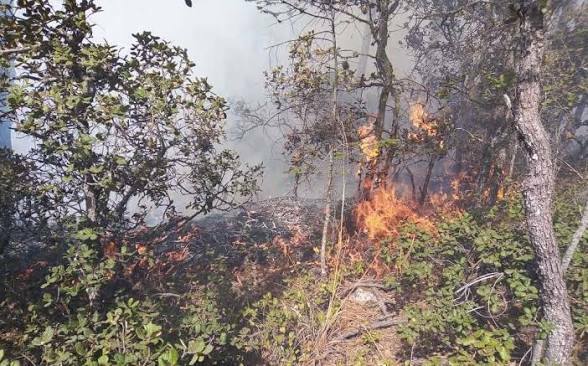 Incendios forestales afectan cerca de 600 hectáreas en Coahuila este año