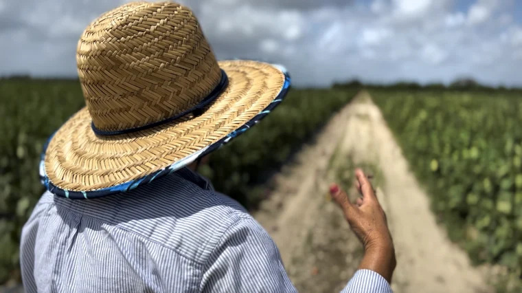 Trump permitirá a agricultores procesar sus propios alimentos