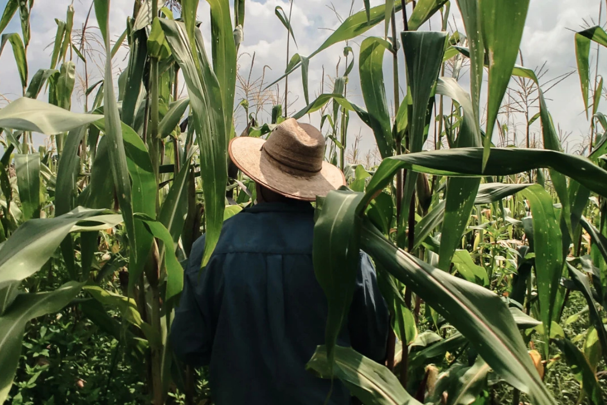 Crimen golpea al campo: productores buscan inversión y protección en EU