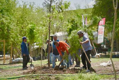 El Bosque Venustiano Carranza inició una nueva etapa de reforestación con 400 árboles y mejoras para fortalecer sus áreas verdes en Torreón.  La tercera etapa