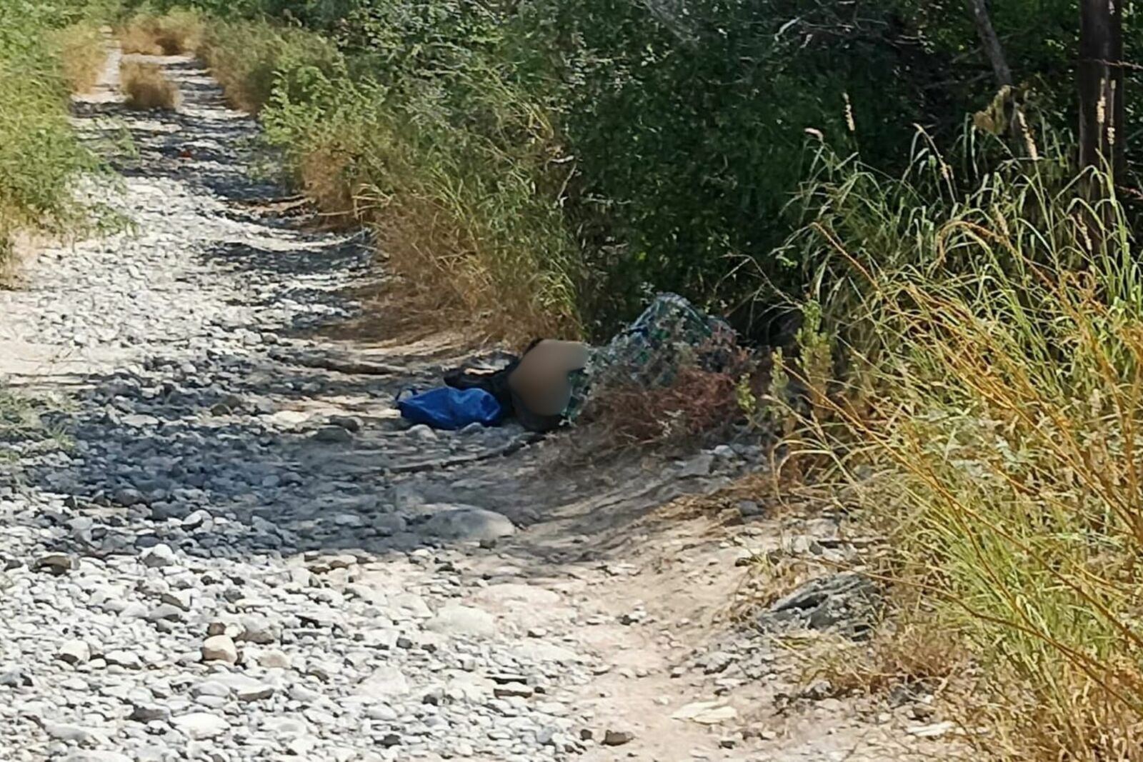 Vecinos pensaron que estaba muerto, pero solo dormía entre la maleza
