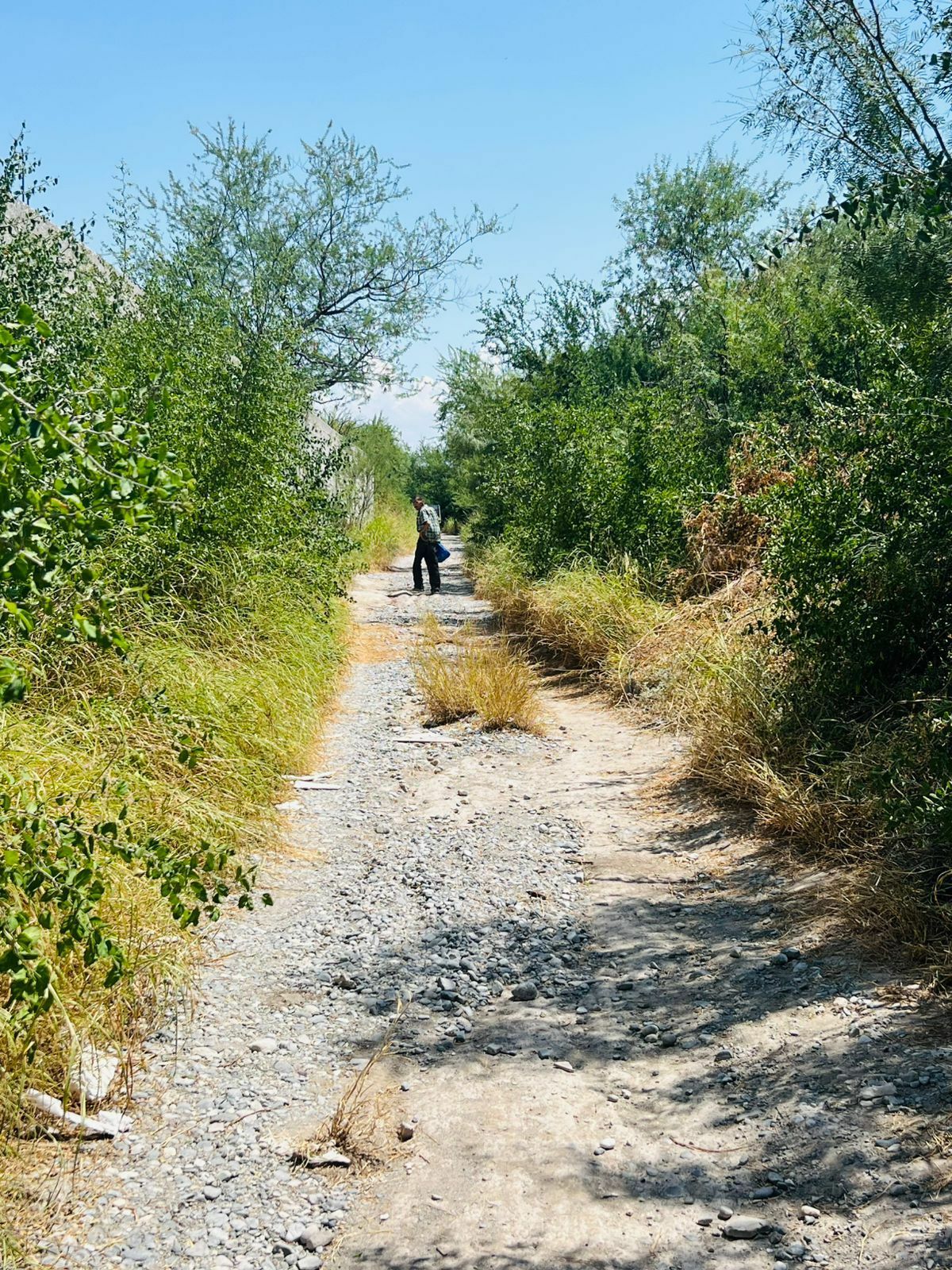 Seguridad