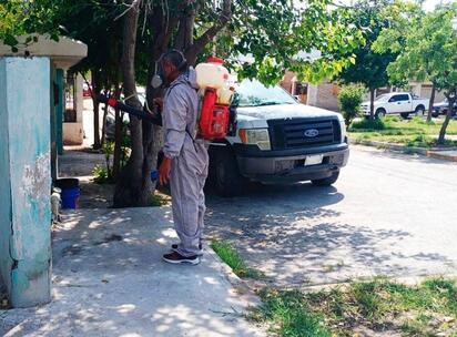 DENGUE Se mantienen activas las brigadas sanitarias ante el riesgo por lluvias y el aumento a la proliferación de los mosquitos. Coahuila mantiene seis casos