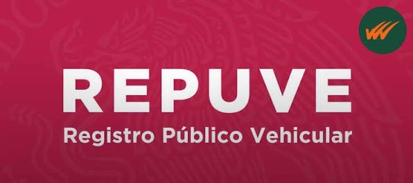 Autos importados siguen sin poder emplacarse por fallas en registro del Repuve