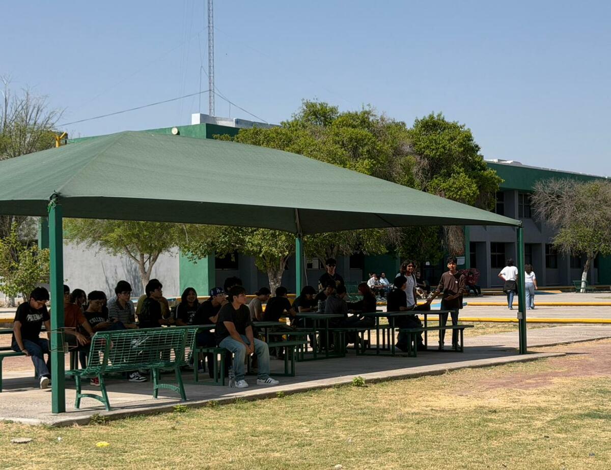 Educación superior
