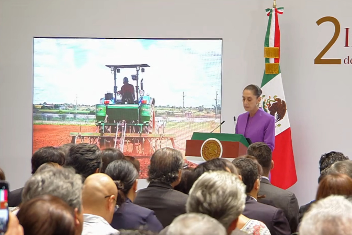 Más maíz y apoyos al campo: así busca México fortalecer su producción