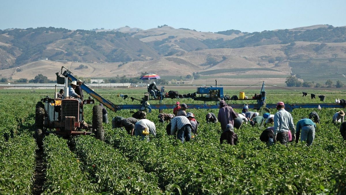 Agricultura Agricultura