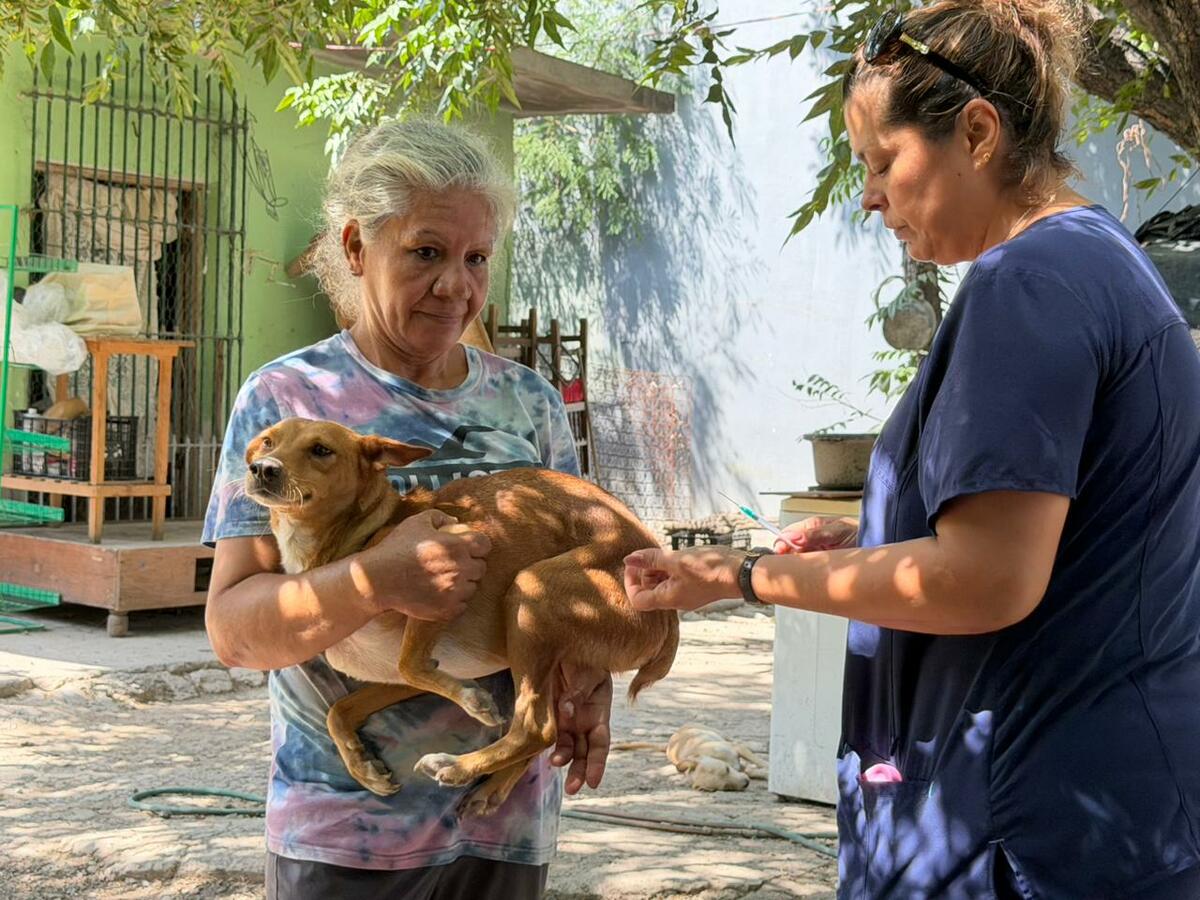 Emily convierte su hogar en refugio para 40 perros rescatados en Monclova