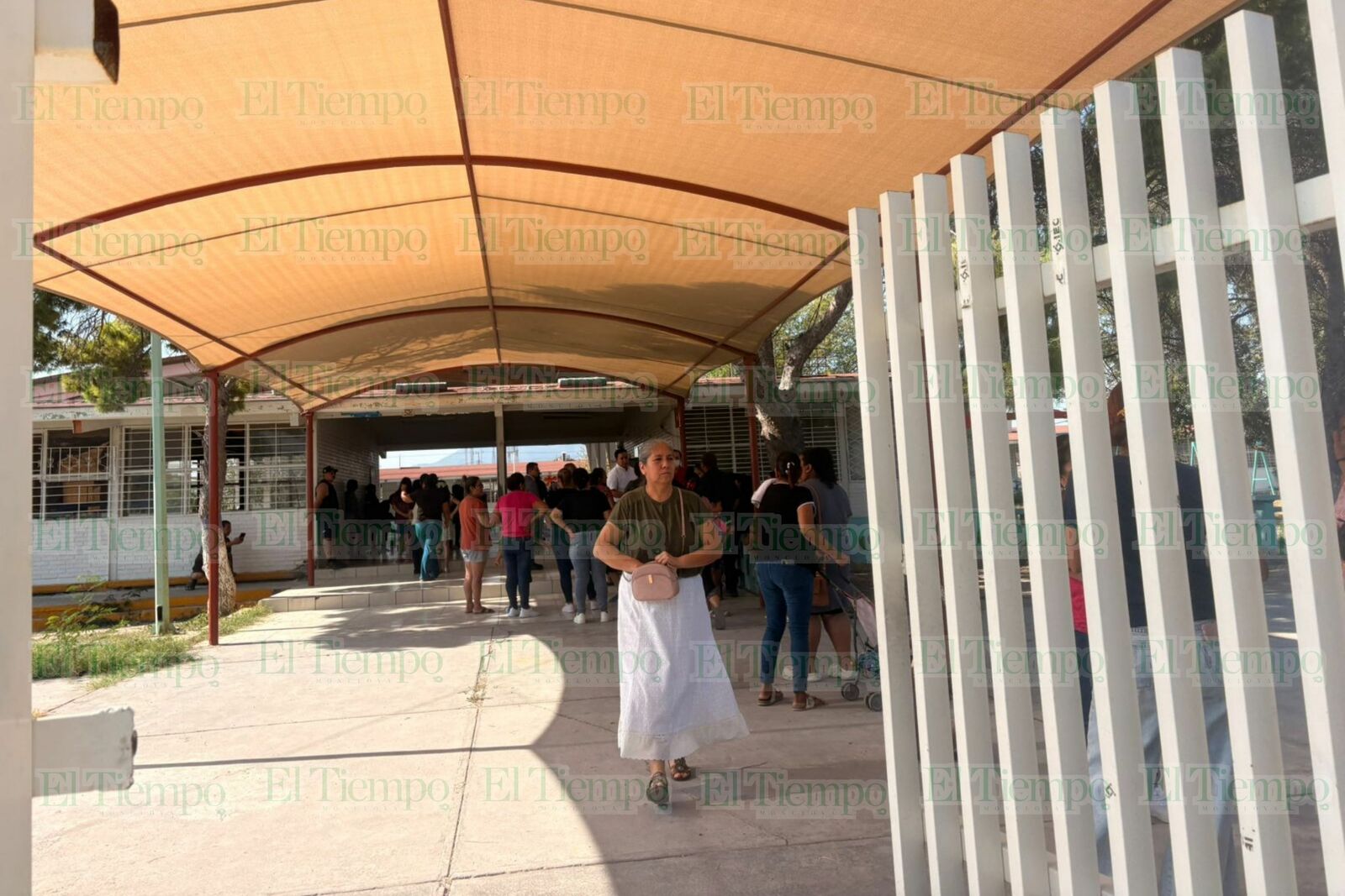 primaria