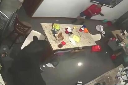 Un oso adulto ingresó a un domicilio de San Pedro Garza García, donde un hombre intentó dirigirlo hacia la salida antes de ser agredido.  Un hombre resultó
