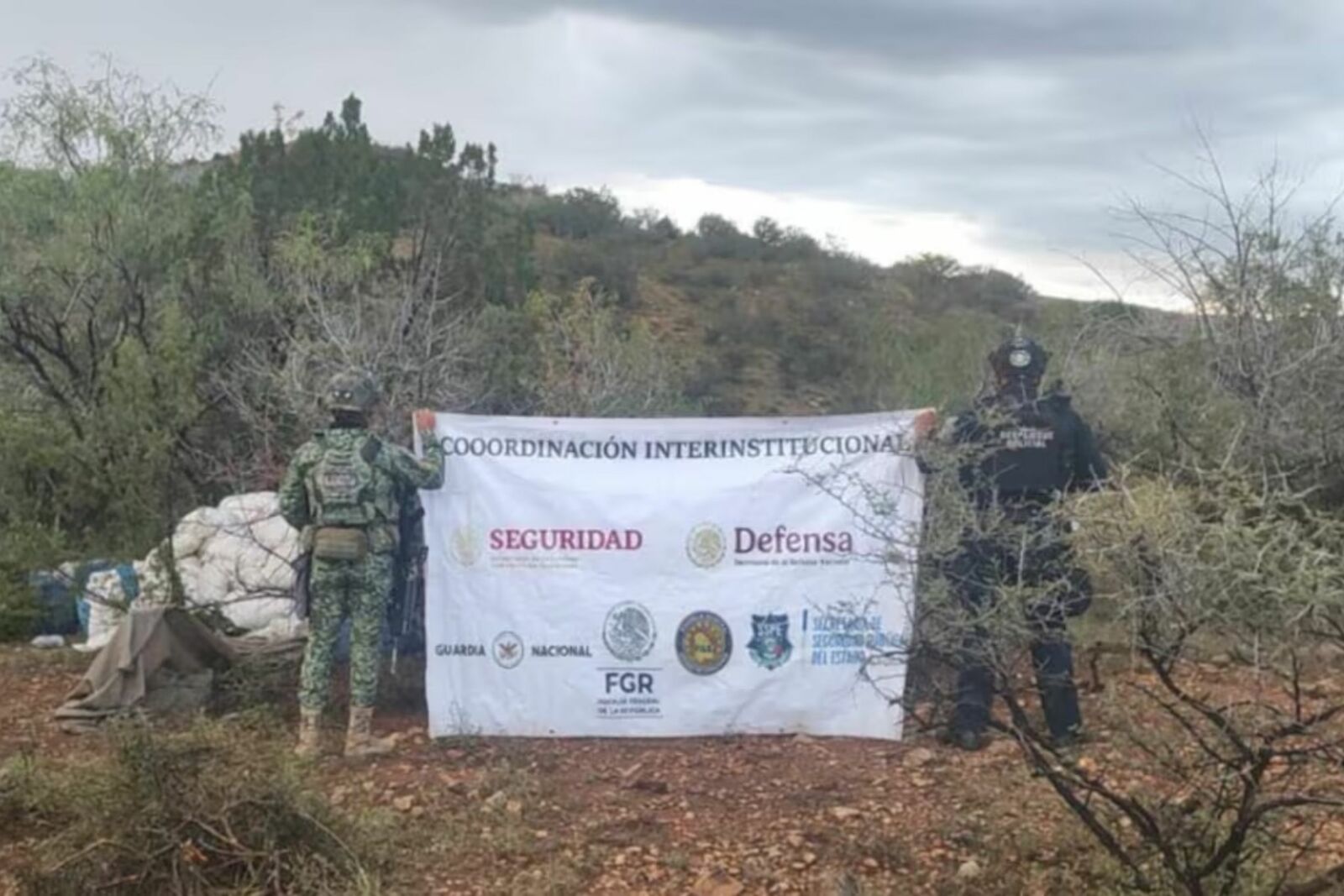 seguridad seguridad
