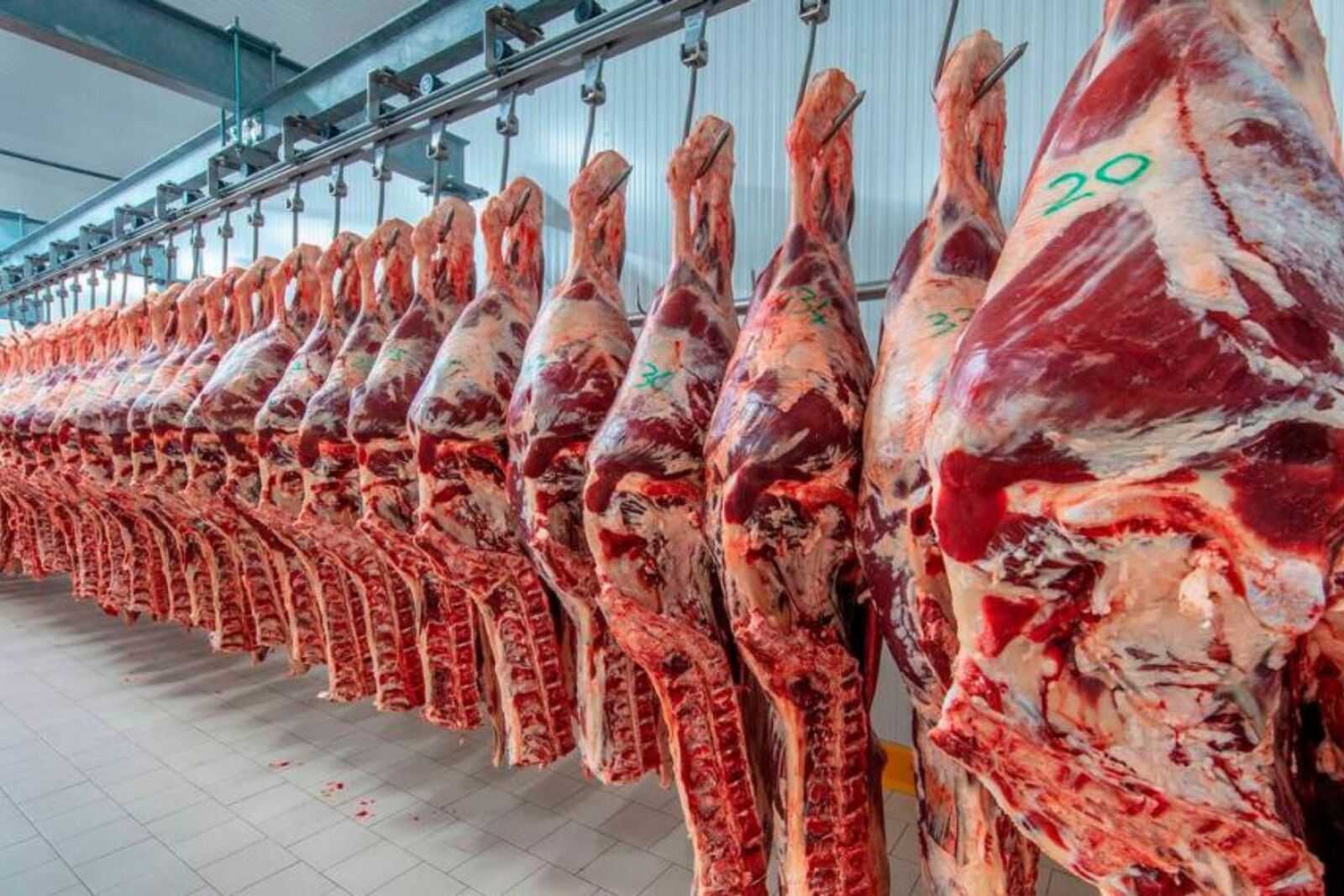 EU importará 300 mil toneladas de carne de Argentina y Brasil para bajar precios