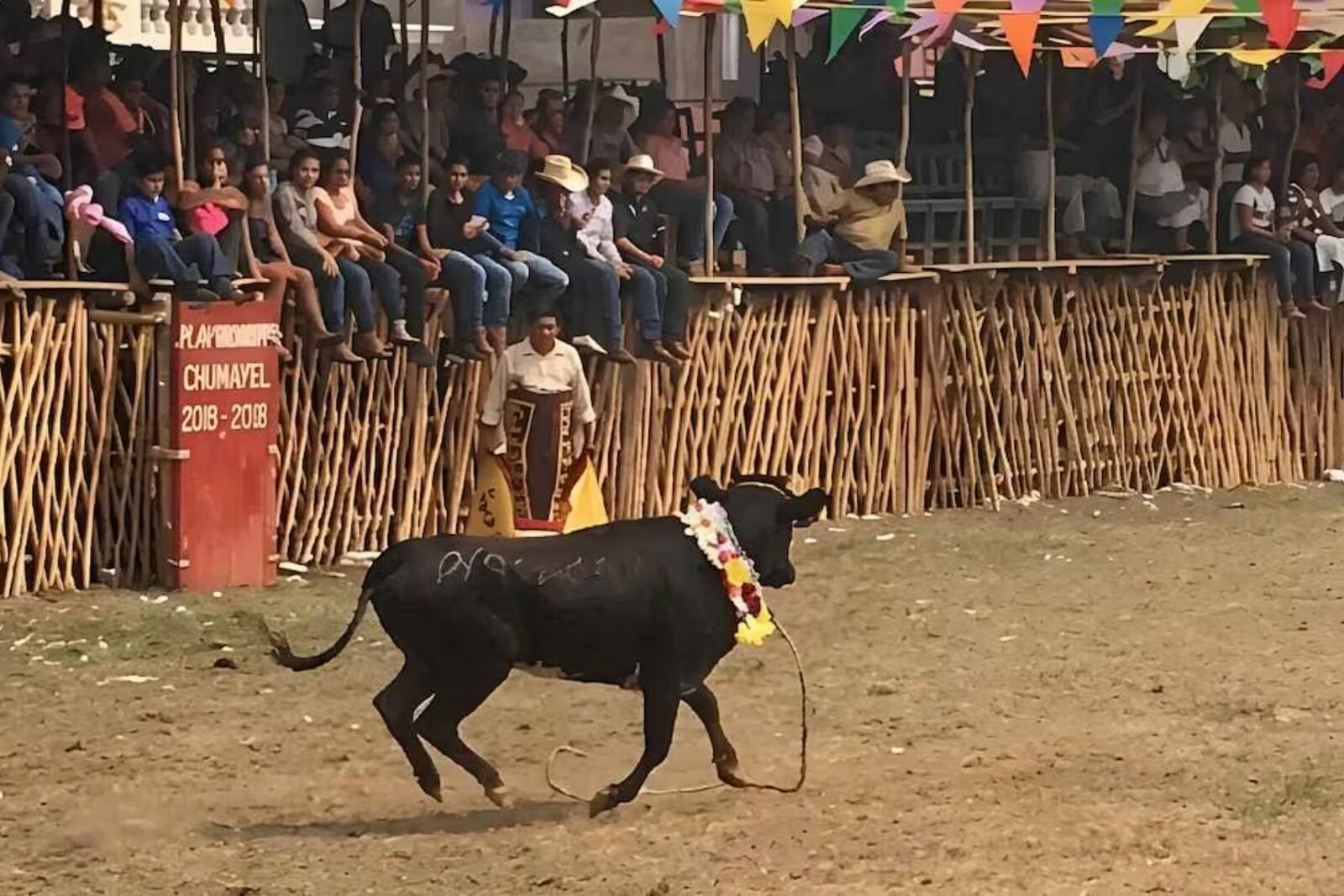 Suspenden maltrato animal en corridas de toros de tres municipios de Yucatán