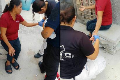 Mujer resulta mordida por un pitbull al intentar separar a dos perros