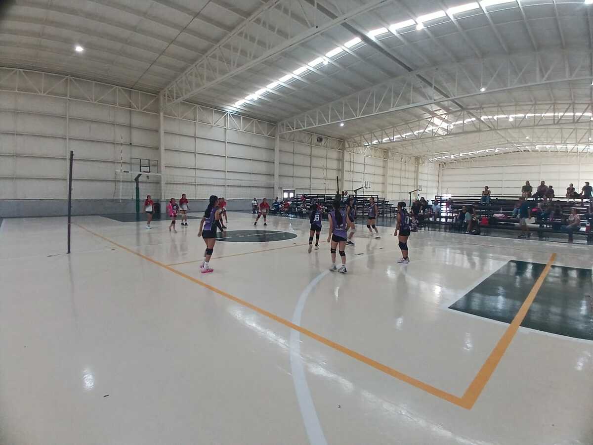 Voleibol