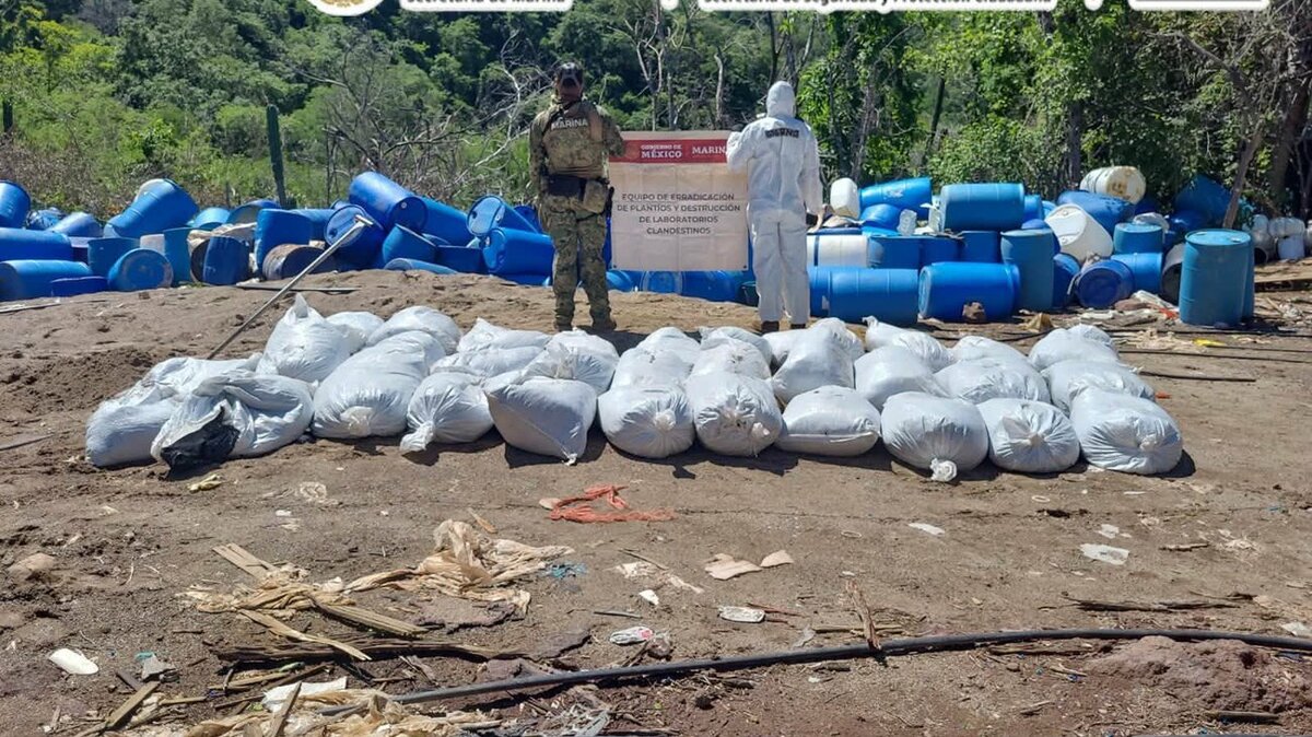 DEA atribuye a su inteligencia decomiso de 16 toneladas de metanfetamina en Sinaloa