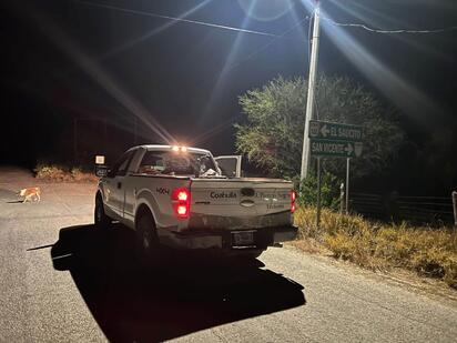 Refuerzan control de mosquitos en Guerrero y Allende