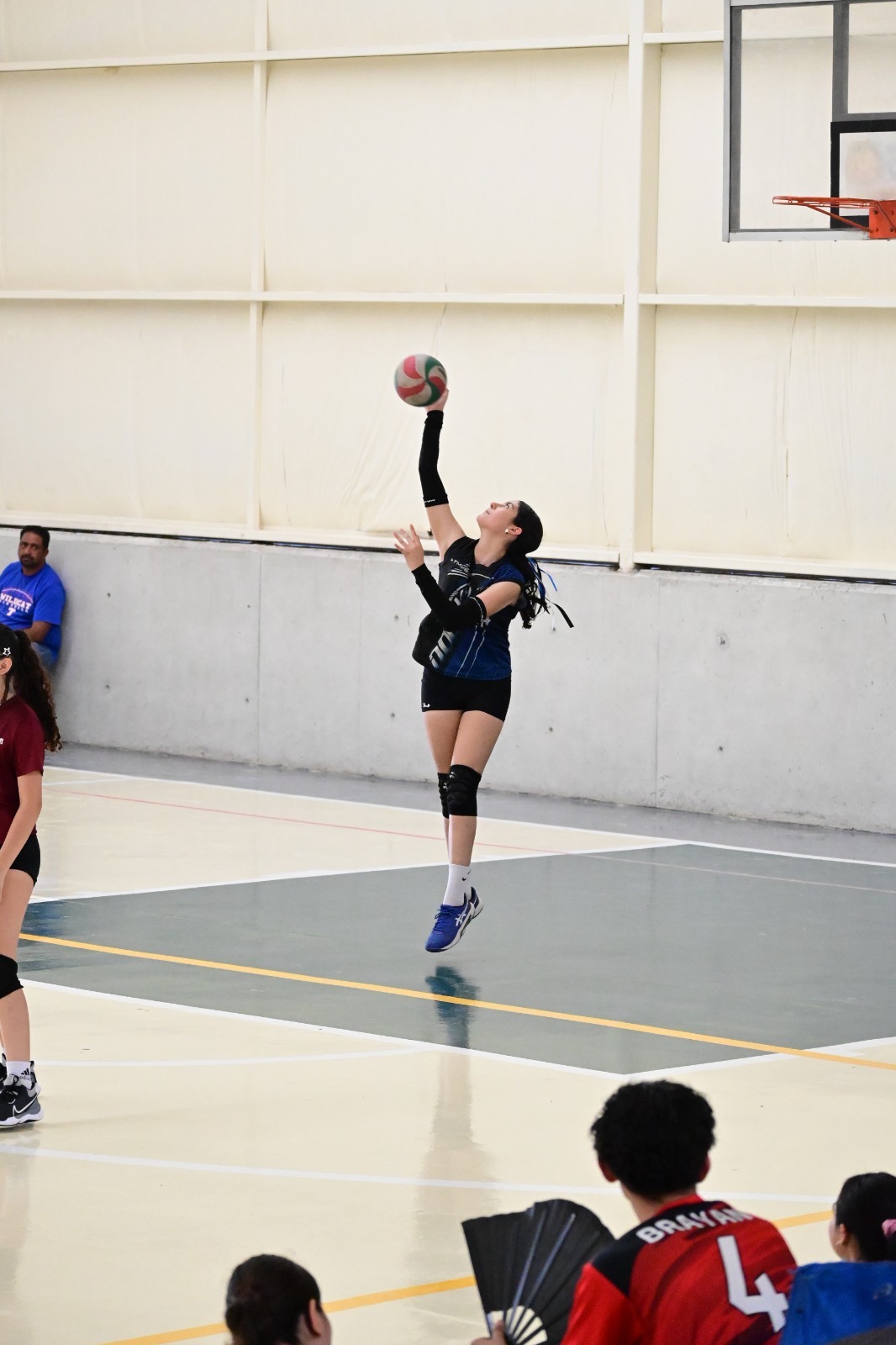 Voleibol