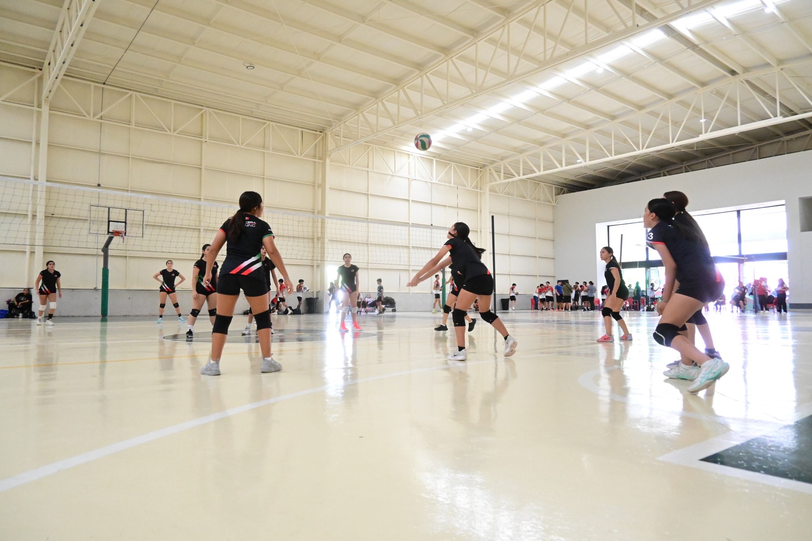 Voleibol