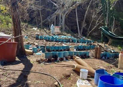 Semar localiza y destruye narcolaboratorio en Corralejo, Sinaloa