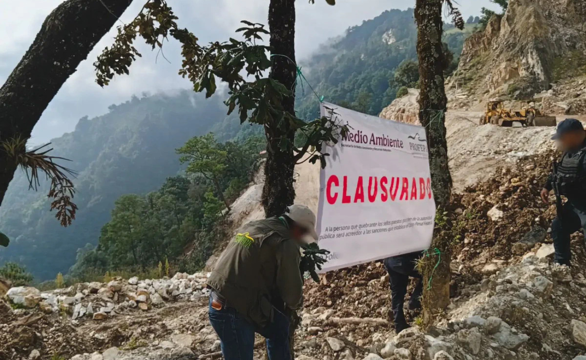 Clausuran predio por extracción ilegal de mármol en Tatatila, Veracruz