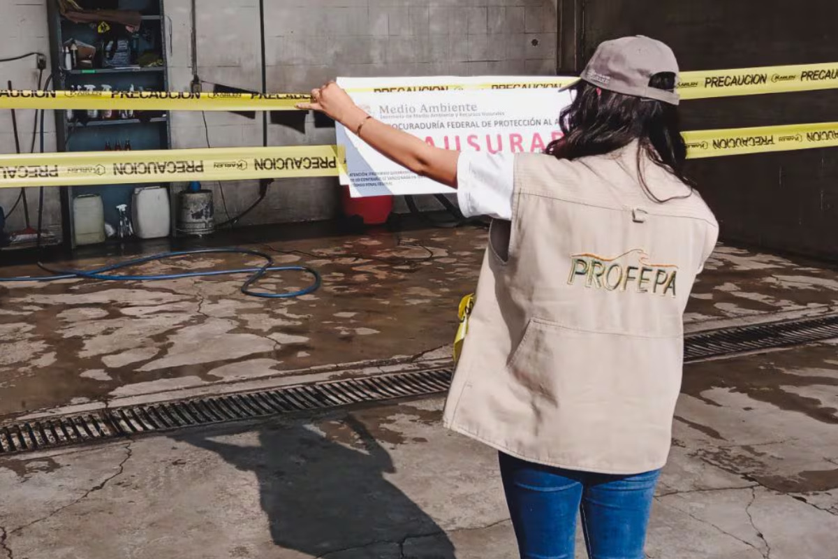 Profepa realiza operativo en 15 estados y aplica 18 clausuras costeras