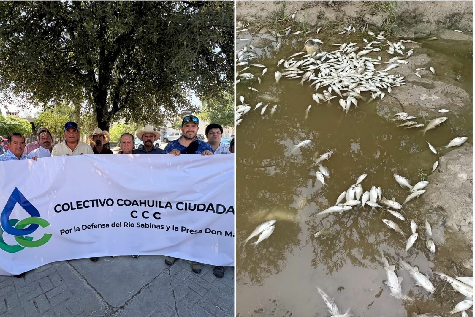 Buscan rescatar río Sabinas y presa Don Martín