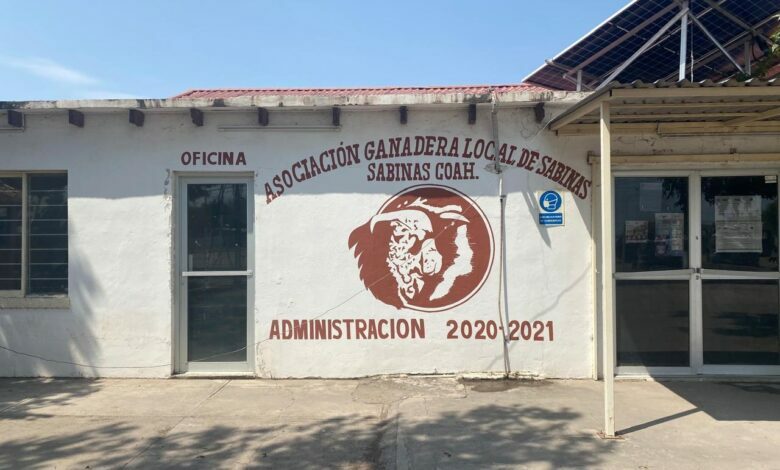 GANADERÍA La Asociación Ganadera Local de Sabinas prepara el Concurso del Becerro Gordo, que reunirá a 107 ejemplares durante las Fiestas Grandes 2026 en Sabinas,