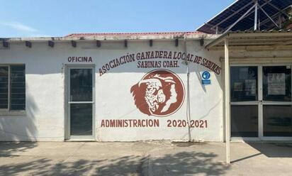 Sabinas alista Concurso del Becerro Gordo con 107 ejemplares registrados