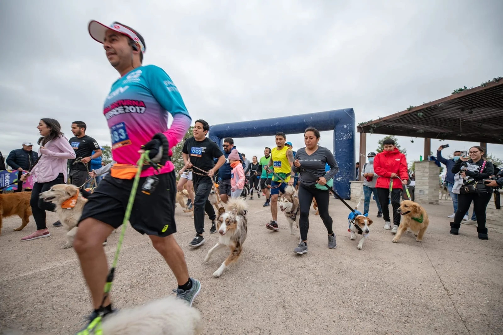 Dog Run