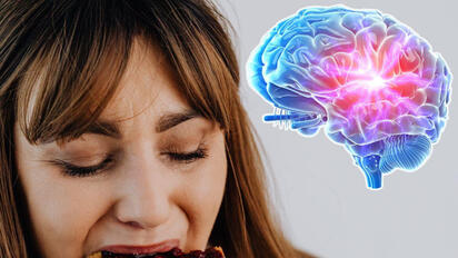 ¿Masticar activa el cerebro? Esto dice la ciencia sobre la memoria y la salud cognitiva
