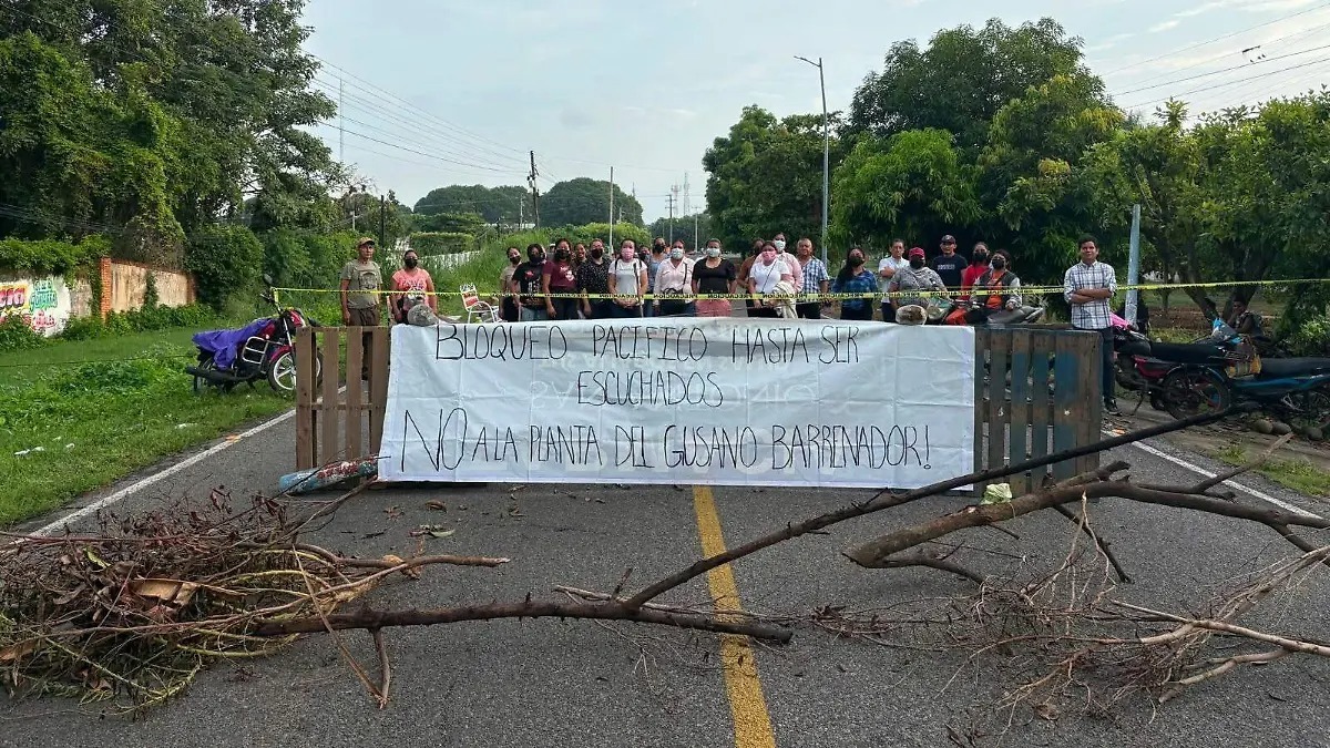 Protesta Protesta