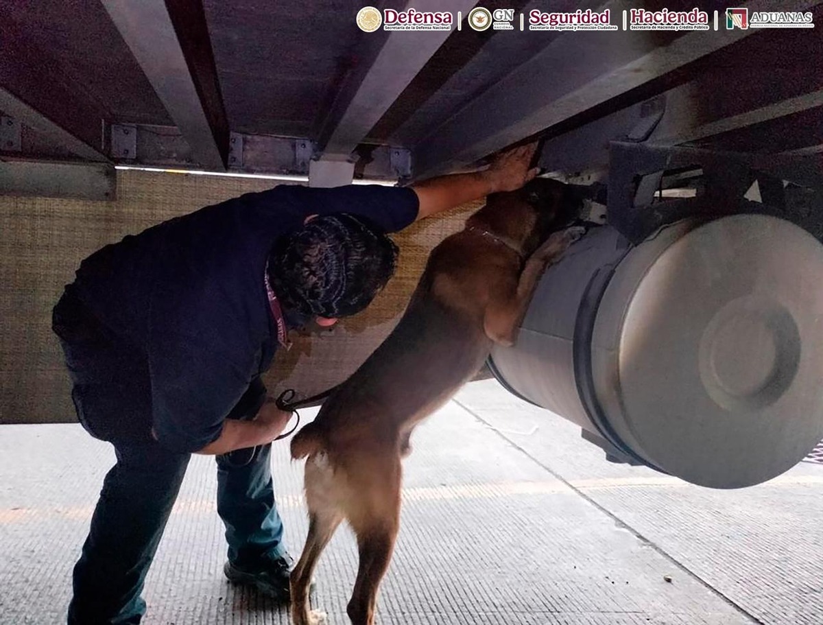 seguridad