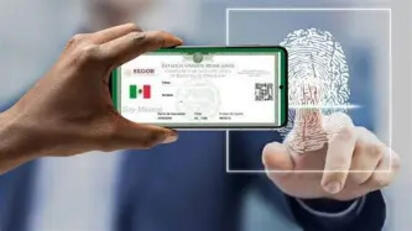 CURP Digital podría utilizarse para contratar servicios financieros en México
