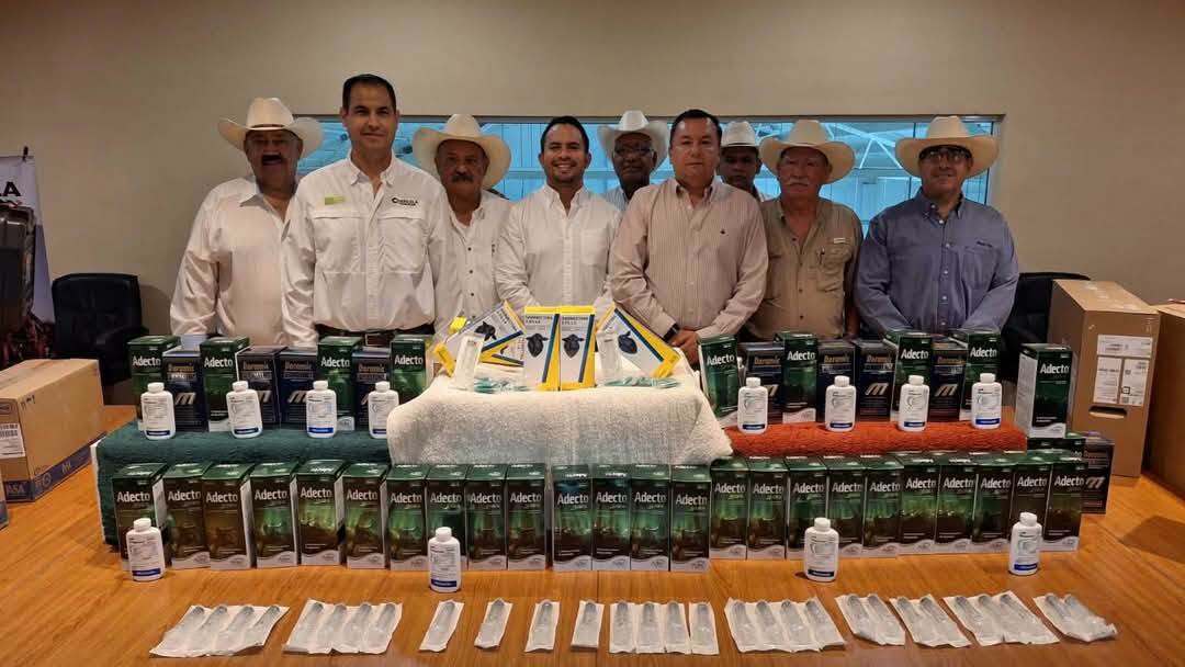 Sanidad Sanidad