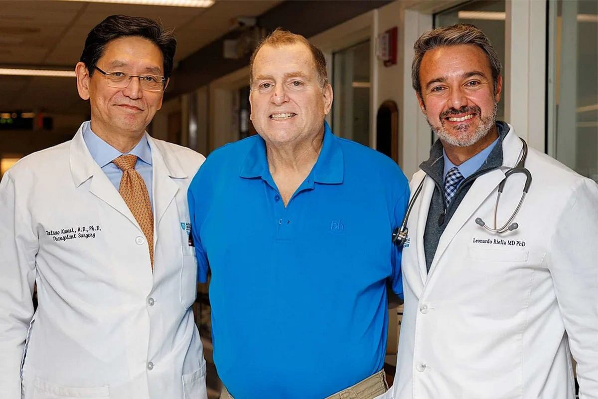 Un riñón de cerdo modificado genéticamente logró mantener con vida durante un año a un hombre con insuficiencia renal, mientras esperaba la disponibilidad