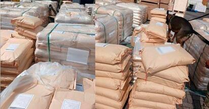 Inmovilizan más de 54 mil kilos de dextrosa anhidra en Manzanillo