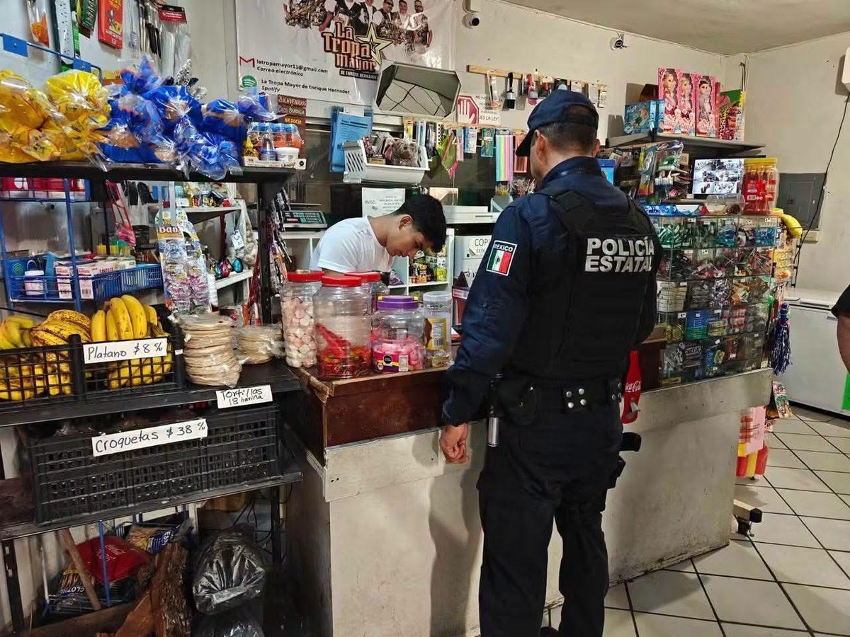 Operativos: Los operativos contemplan patrullajes y visitas a negocios de diferentes giros.
