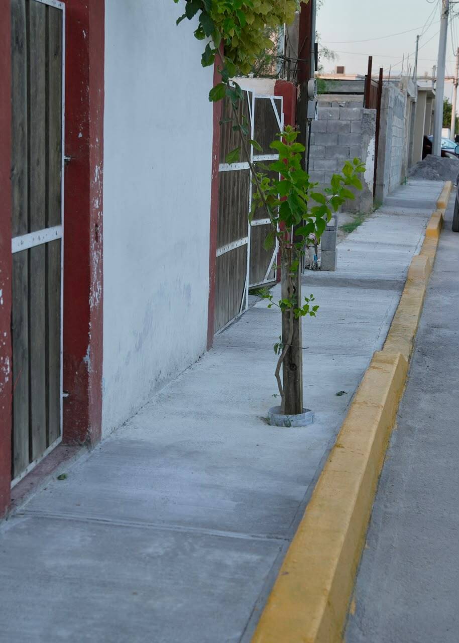 Sari Pérez