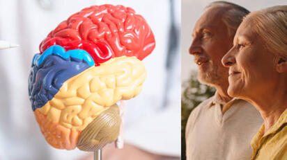 Señales del cerebro que nunca debe ignorar para detectar enfermedades graves