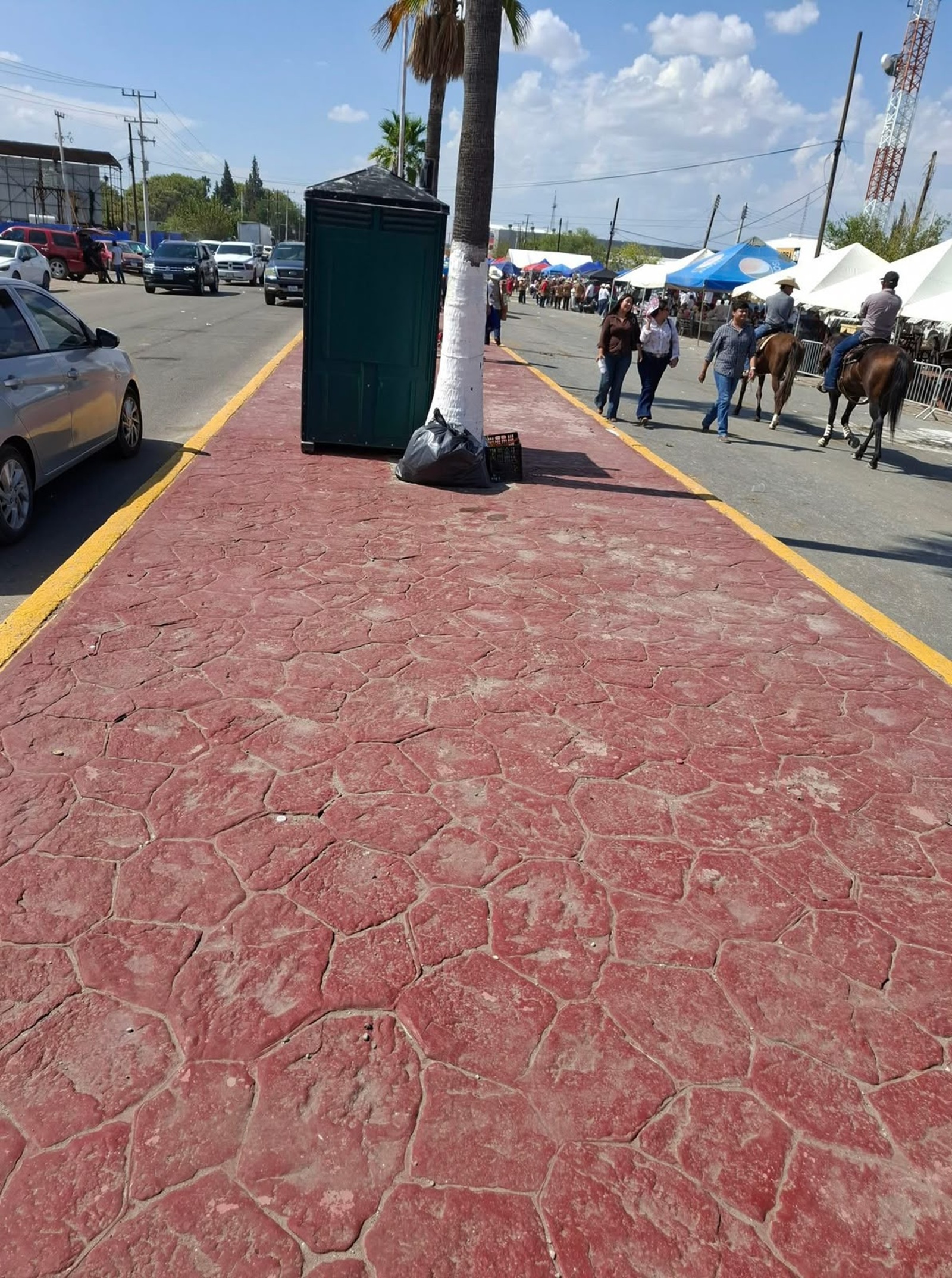 Ciudadanía de Sabinas mantiene limpios sus espacios tras Cabalgata 2026