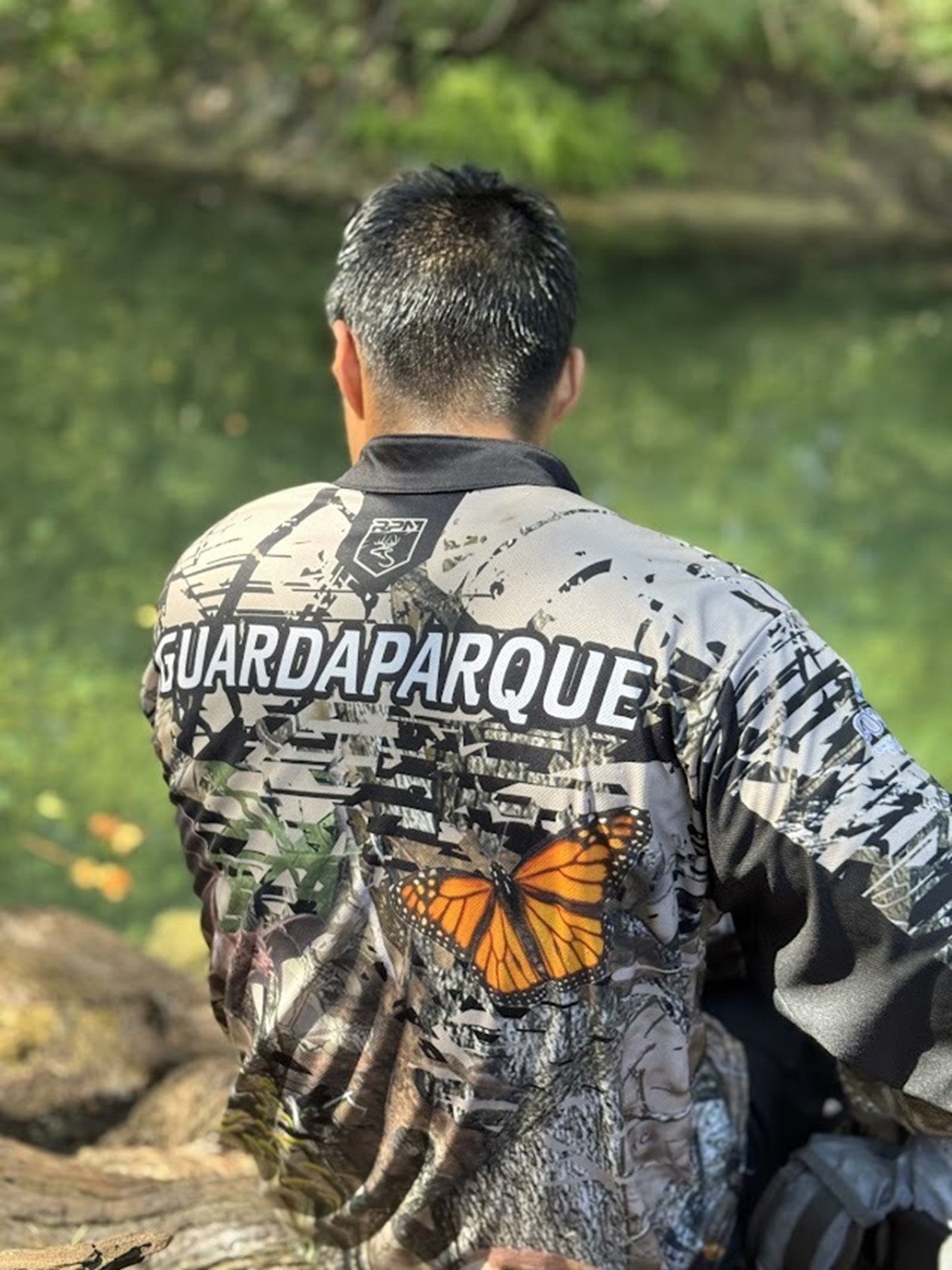 Un ejemplar fue observado en Múzquiz, generando interés entre quienes monitorean la especie, debido a que podría tratarse de una mariposa residente.  Sabinas,