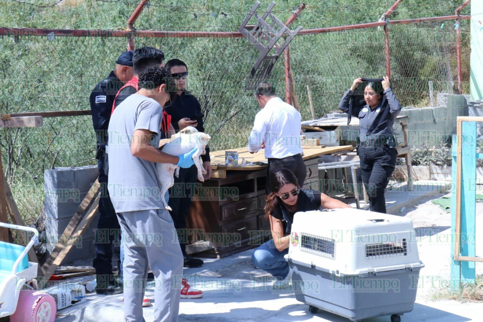 Seguridad