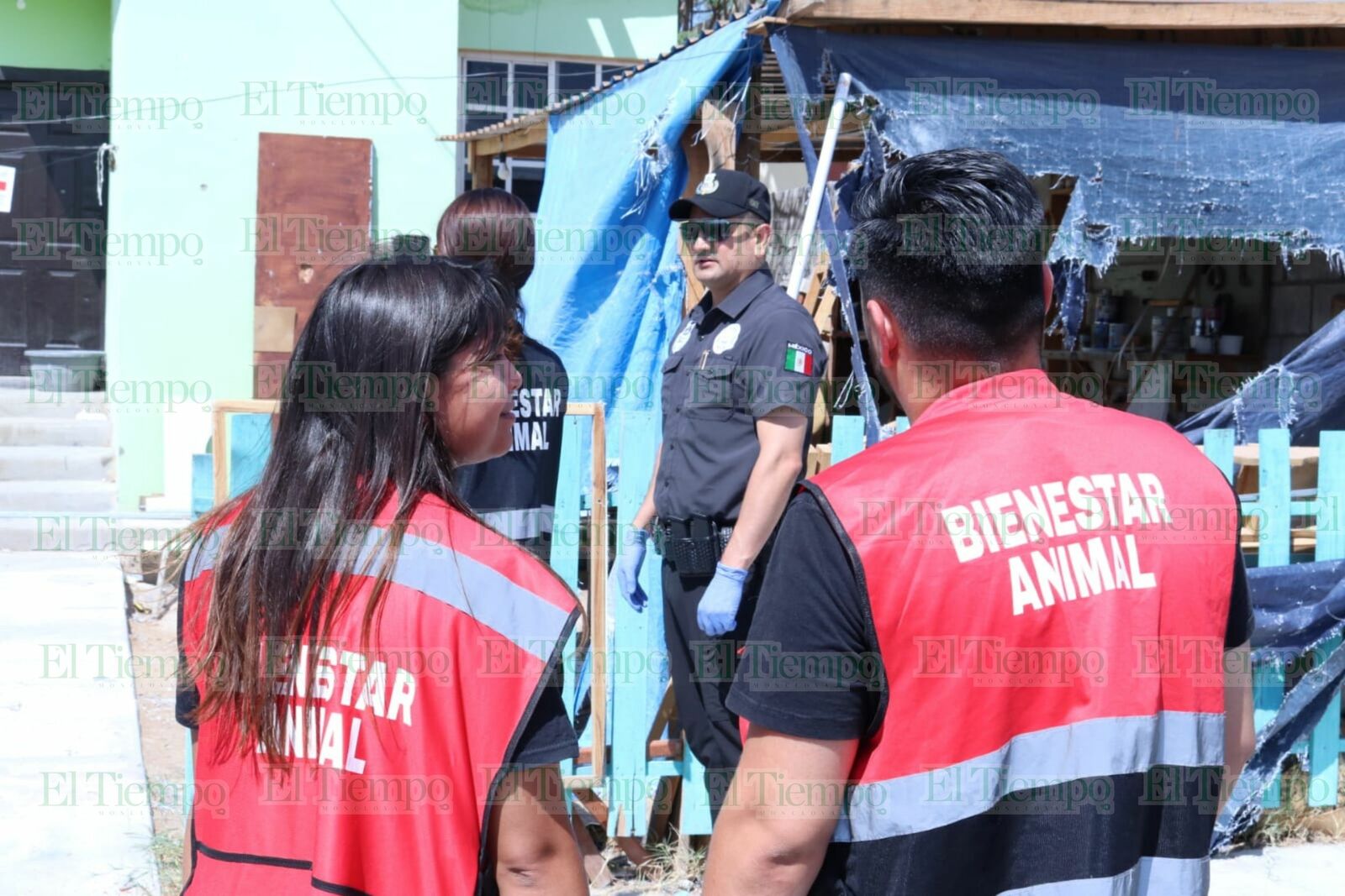 Seguridad