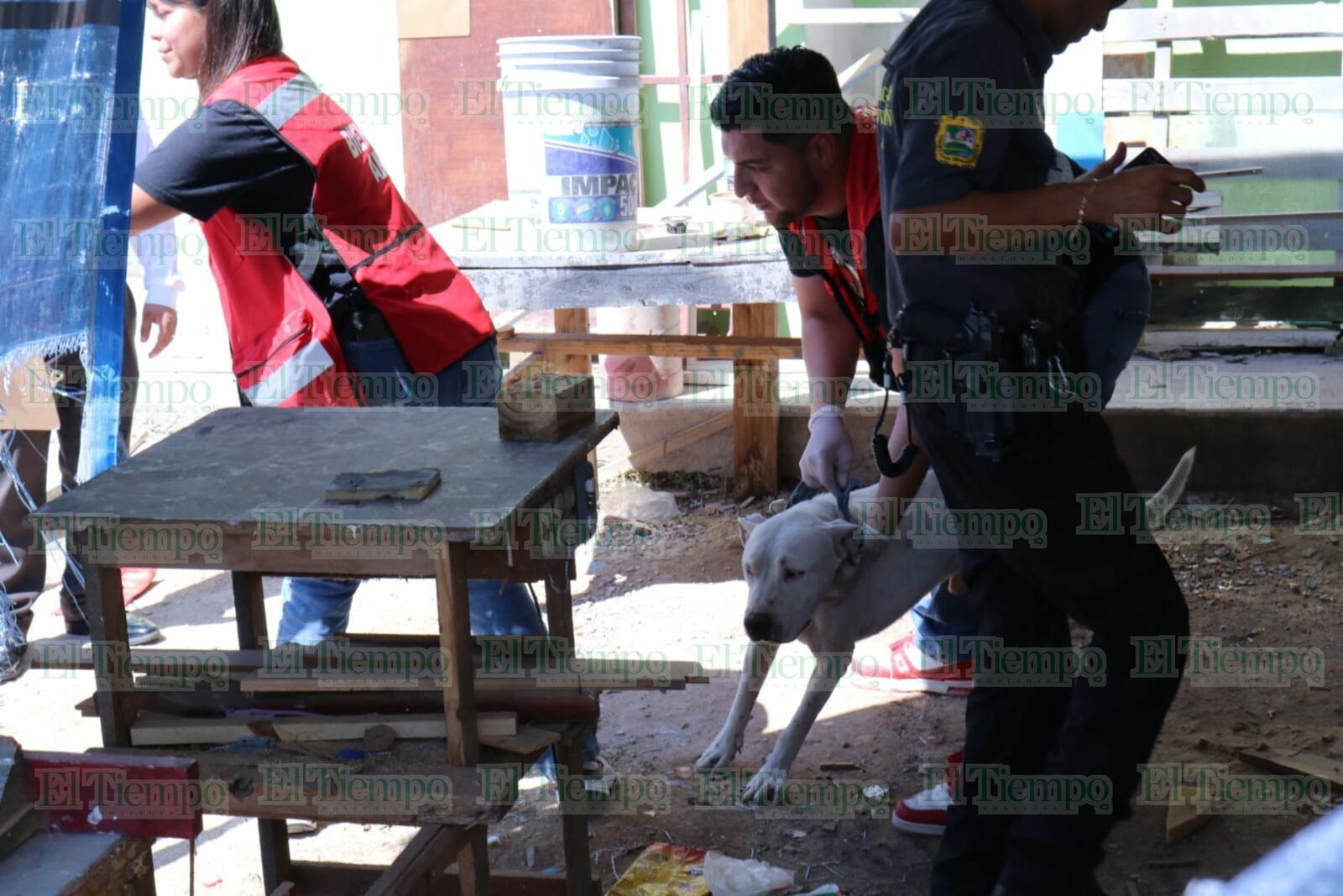 Seguridad